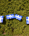 Banderole drapeaux du Québec (71021)